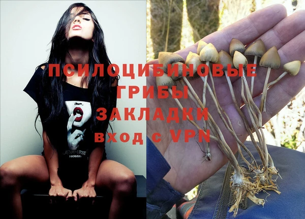 молекула духа Алексин