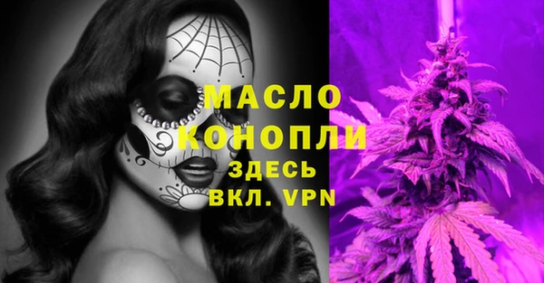 индика Абдулино