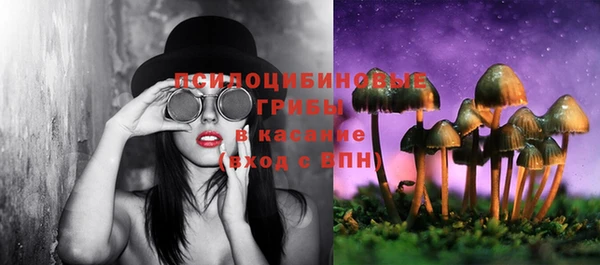 индика Абдулино