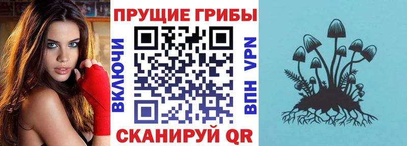 гидра маркетплейс  Череповец  Псилоцибиновые грибы ЛСД  наркота 